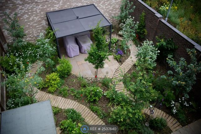 Back Garden