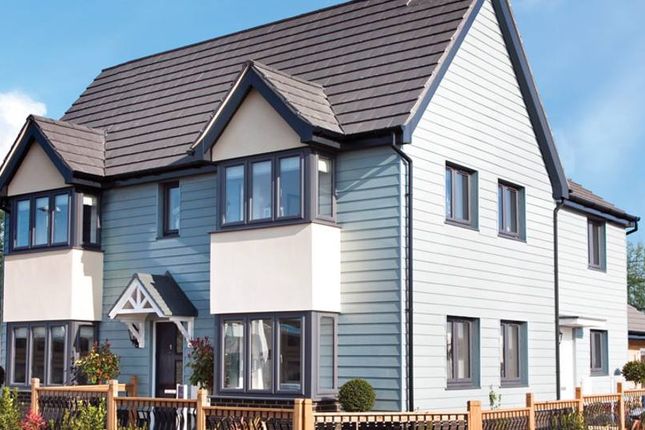 Thumbnail Semi-detached house for sale in "Sheringham" at Harbour Road, Seaton