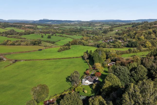 FOREST HOUSE, Coedypaen, Pontypool photo 2