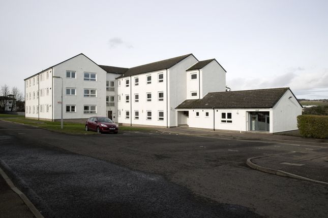 Thumbnail Flat to rent in Alloway Place, Dundee