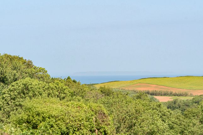 Keepers Cottage, Fairy Cross, Bideford photo 4
