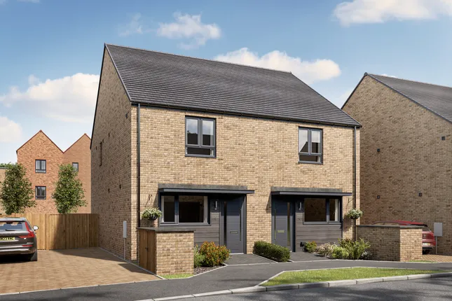 Latimer by Clarion - Springstead Village