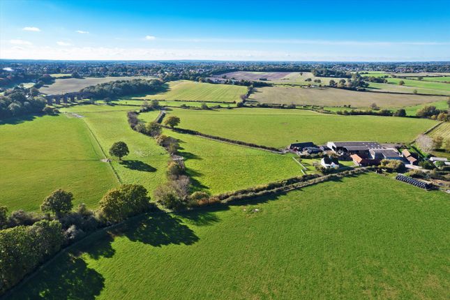 Farm for sale in West Bergholt, Colchester, Essex CO6