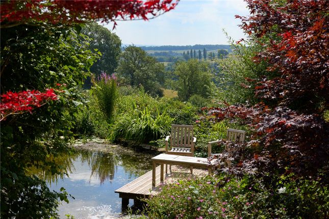 Pond