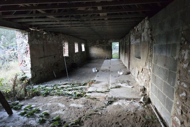 Broom Dykes, Houghton Bank, Darlington photo 3