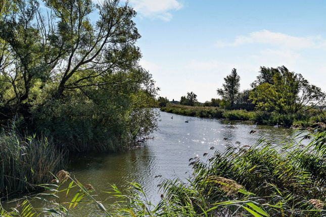 Dicks Mount, Beccles photo 2