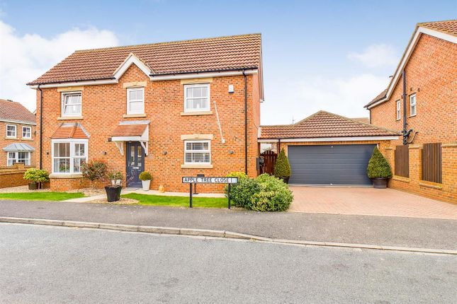 Thumbnail Detached house for sale in Appletree Close, Long Riston, Hull