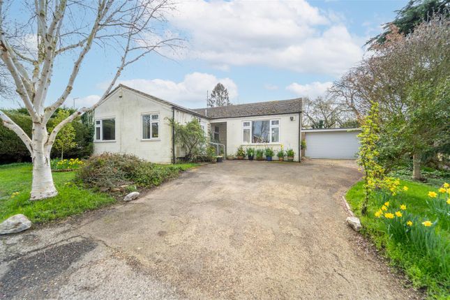 Thumbnail Semi-detached bungalow for sale in Mill Lane, Fordham, Ely