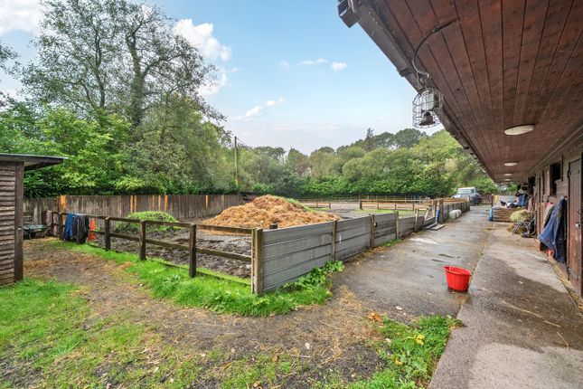 Croesbychan Road, Aberdare photo 5