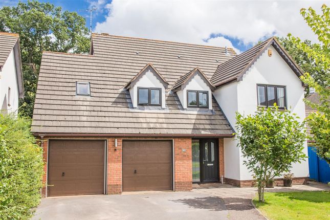 Thumbnail Detached house for sale in Elston Meadow, Westwood, Crediton