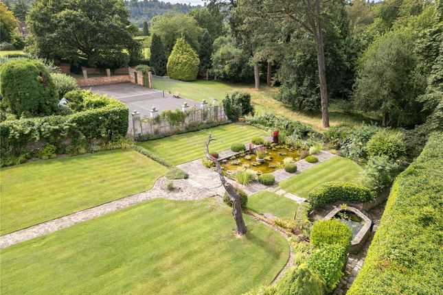 Grounds
