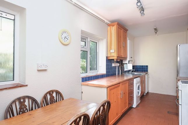 Semi-detached house to rent in Ashurst Road, Brighton