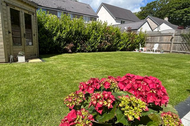 10, LLYS PENFRO, PORTHCAWL photo 2
