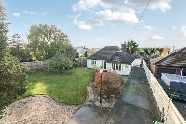 1372341-3-68Ff4Ae5Eb09B