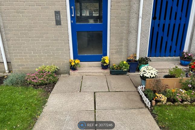 Uddingston, Glasgow photo 2
