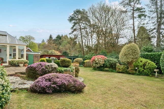 6, Forestdale, Surrey photo 3