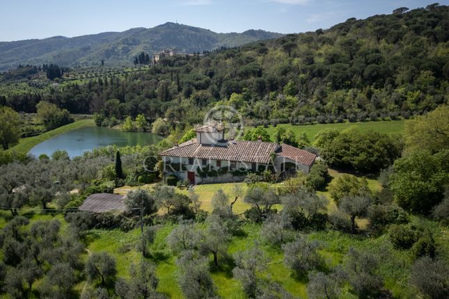 Thumbnail Villa for sale in Rignano Sull'arno, Firenze, Tuscany