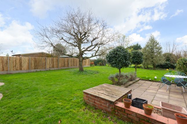 Semi-detached house to rent in Old Tree Road, Hoath, Canterbury
