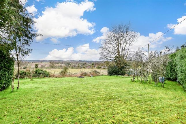 Detached bungalow for sale in Habin Hill, Rogate, Petersfield, West Sussex