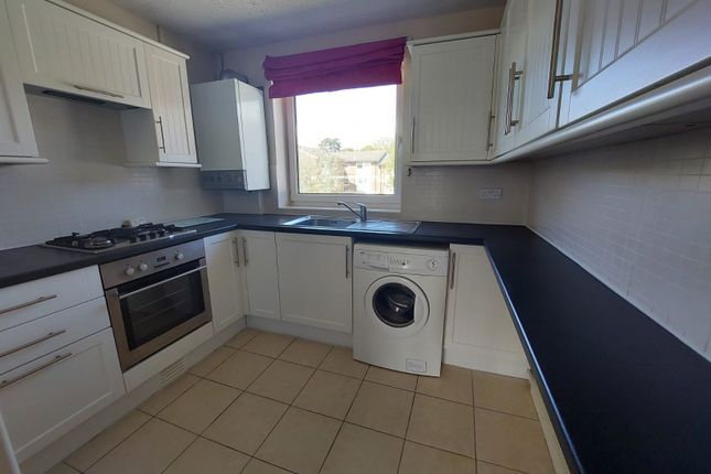 71, Maidstone photo 3
