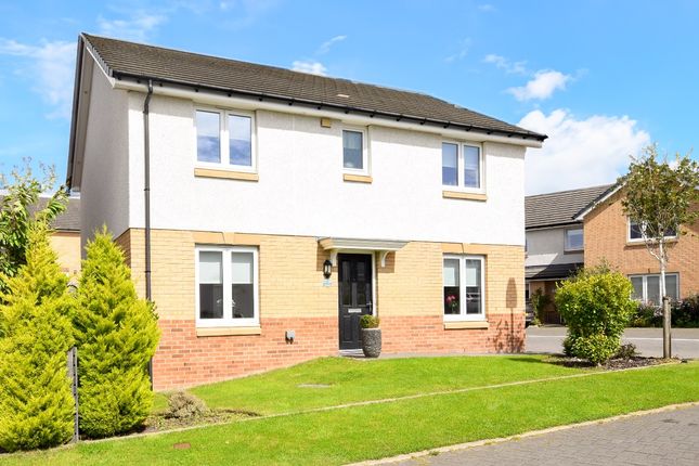 Thumbnail Detached house for sale in Brora Green, Newarthill, Motherwell