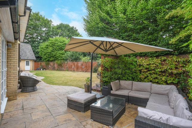 7 Bristowe Avenue, Chelmsford photo 4