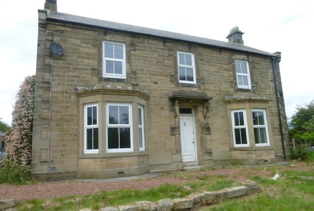 Thumbnail Detached house to rent in Hepscott, Morpeth, Northumberland