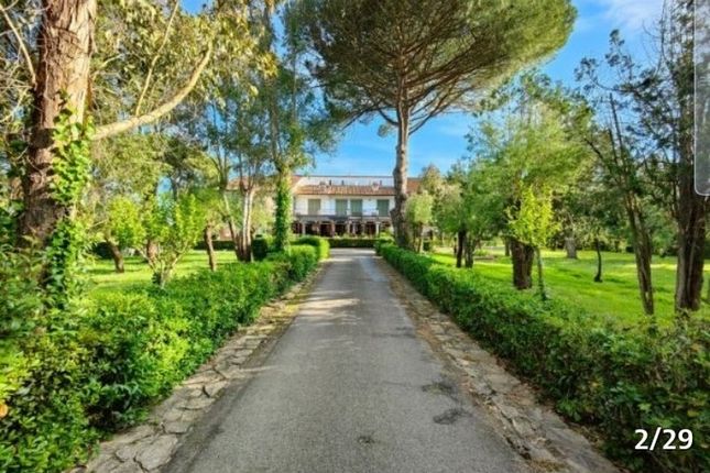 Villa for sale in Marina di Pisa, Tirrenia, Pisa, Tuscany, Italy