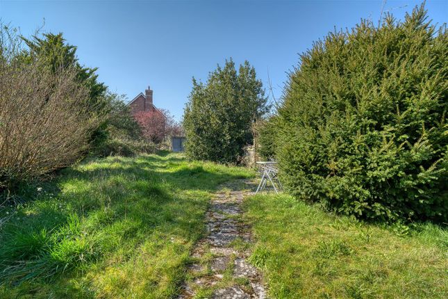 81, Higher Street, Blandford Forum photo 4