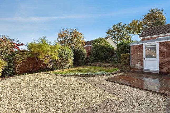 Upland Rise, Westbury photo 2