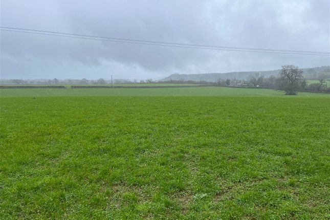 Land for sale in The Village, Buckland Monachorum, Yelverton