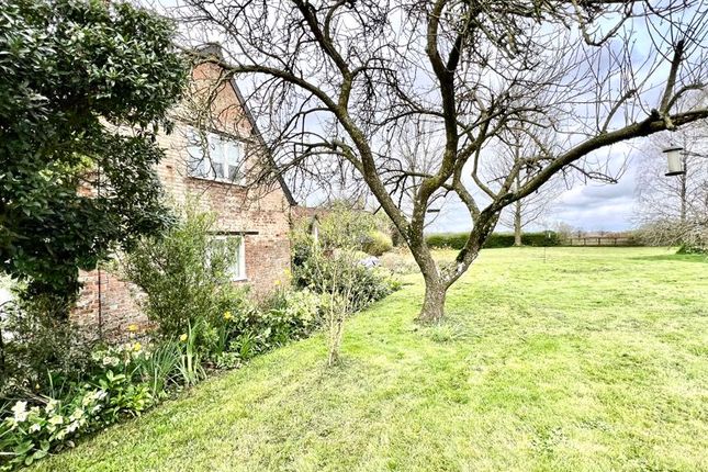 Farmhouse to rent in Stockley, Calne