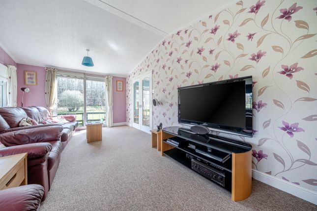 6, The Birches, Bedford photo 4