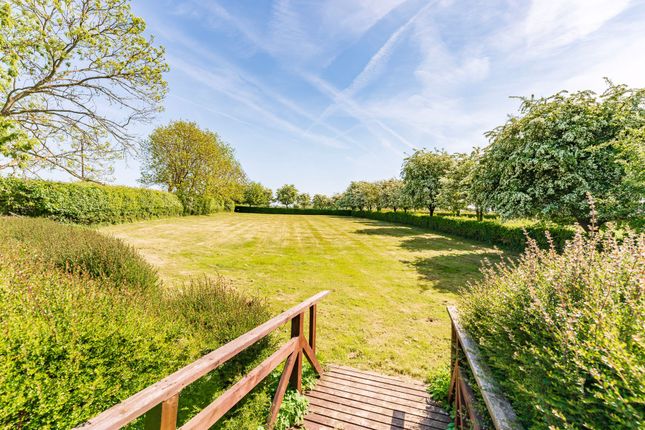170 Hills Road, Thetford photo 2