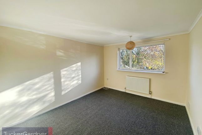 19, Cambridge photo 5