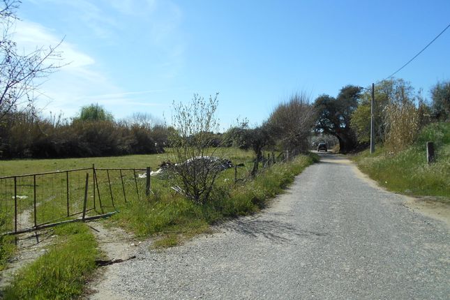 Land for sale in Ladoeiro, Idanha-A-Nova, Castelo Branco, Central Portugal