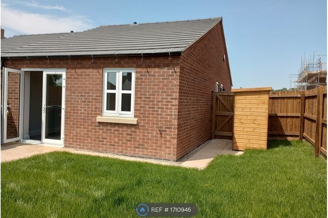 Thumbnail Bungalow to rent in Reddie Close, Rocester, Uttoxeter