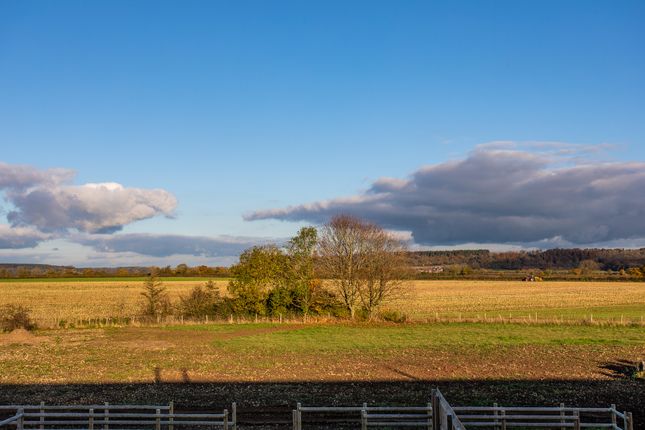Plot 3, Falkland Court,, Watts Quarry Lane, Somerset photo 4