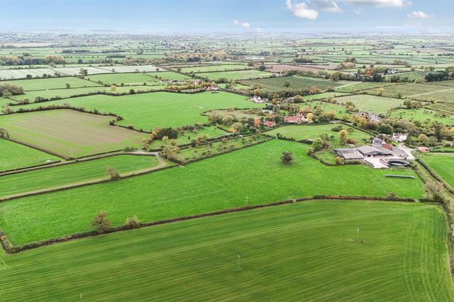 Church Farm, Glastonbury photo 3