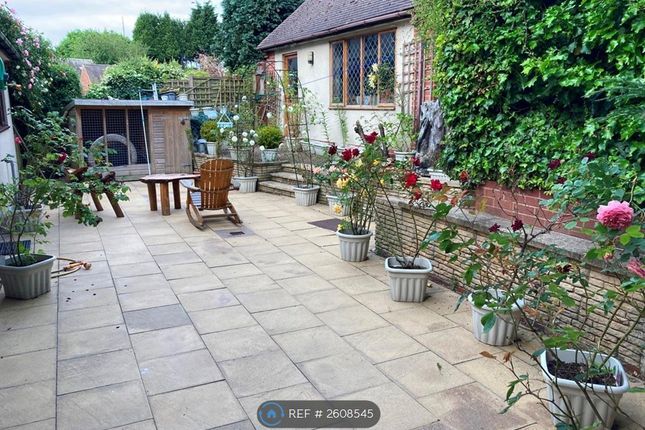 Back Garden