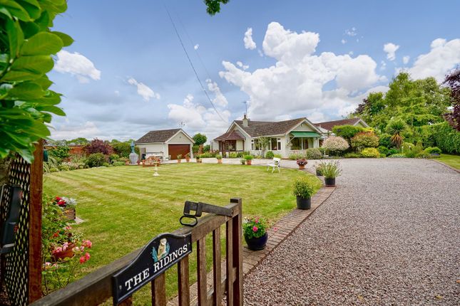Thumbnail Detached bungalow for sale in Church Road, Hargrave