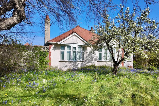 116, Victoria Road West, Prestatyn photo 2