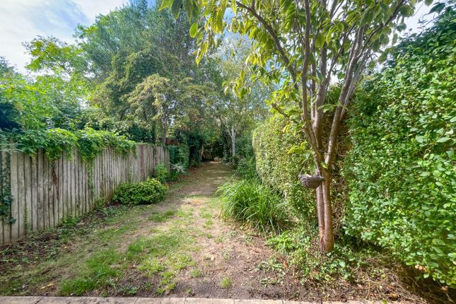 81, Sturton Street, Cambridge photo 3