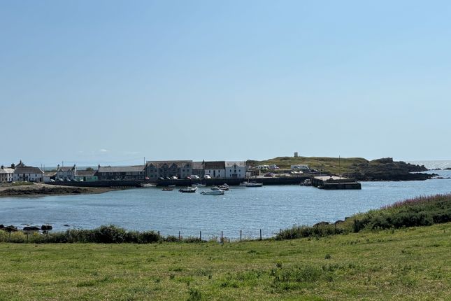 Tonderghie Road, Isle of Whithorn photo 2