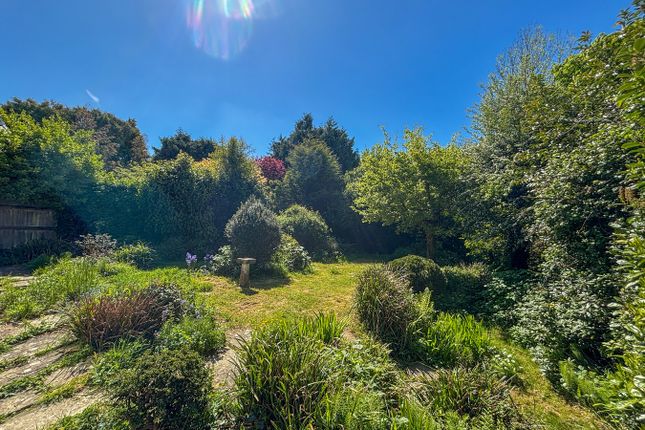 Bona Vista, 11 North Trade Road, Battle photo 4