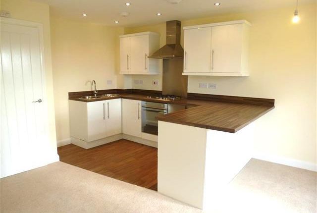 25, Taunton photo 2