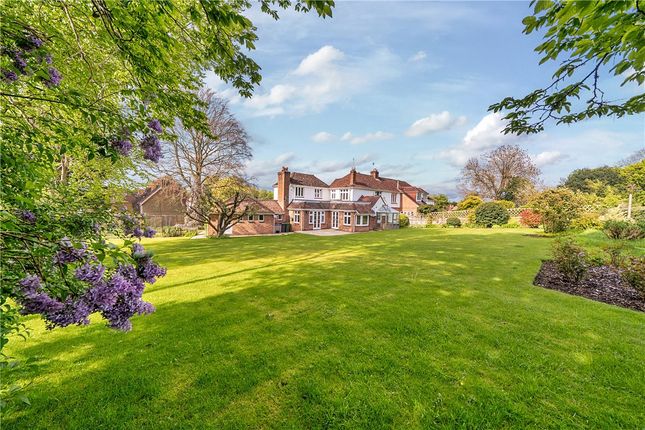 Thumbnail Semi-detached house for sale in West Street, Hambledon, Waterlooville, Hampshire