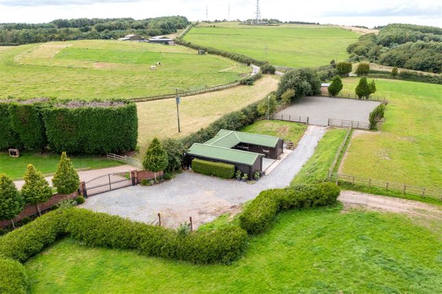 Equestrian Facility