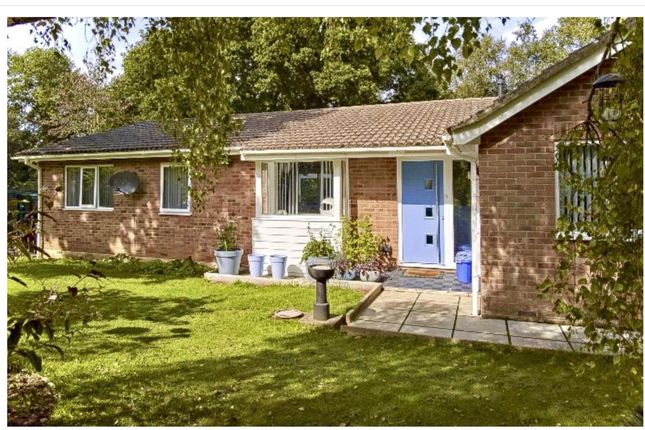 Thumbnail Detached bungalow for sale in Youngwoods Copse, Alverstone Garden Village, Sandown