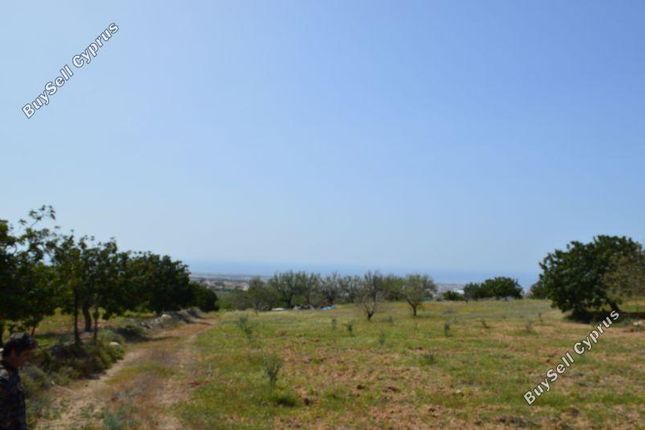 Thumbnail Land for sale in Armou, Paphos, Cyprus
